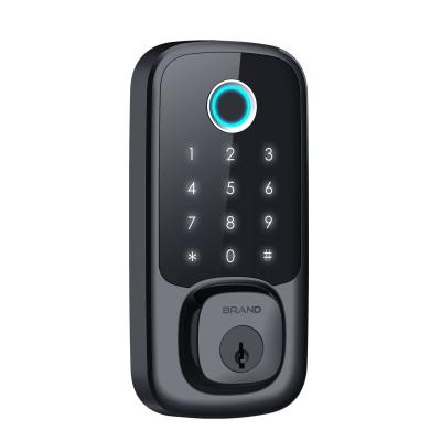 China 100 Fingerprint Users Security Fingerprint Door Lock Hotel Smart Door Lock for sale