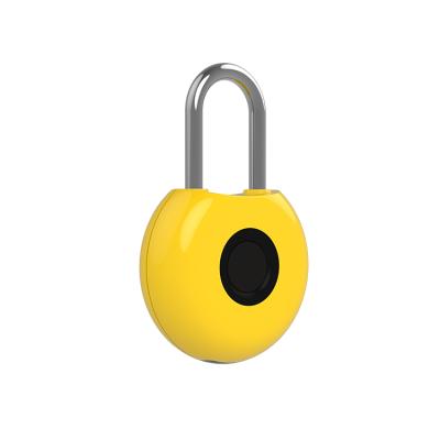 China Excellent Quality Durable High Security China Padlock Fingerprint Padlock Waterproof for sale