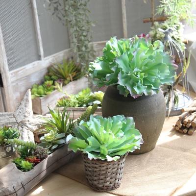 China 70%polyester+20%plastic+10%metal Artificial Flower Plant Green Plant Wedding Meat Backdrop Succulent Wall Photography Flower Home for sale