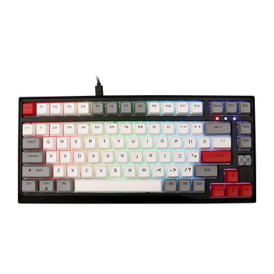 China 2021 Anti-ghosting PBT Key Top 3 Modes Game Accessories RGB Gaming Keyboard Wireless Mechanical Keyboards for sale