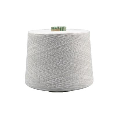 China Spun Core Thread 28S/2 Cheap Wholesale Viscose 50 Nylon 22PBT28 Embryo Thread Acrylic Yarn for sale