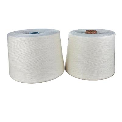 China Wholesale Professional Manufacturer Recycled Polyester Yarn Crochet Yarn Wool Moisture-absorbent Yarn Vacuum 40/1 for sale