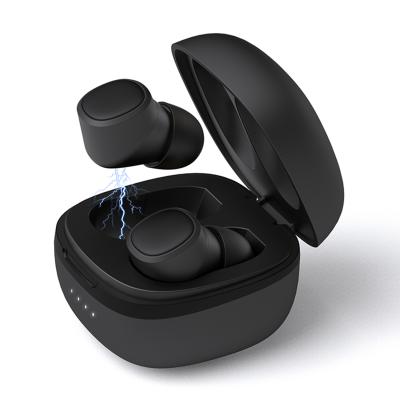 China Comfortable Wearing Version TWS Wireless Speaker 5.0 Earbuds With Charging Case for sale