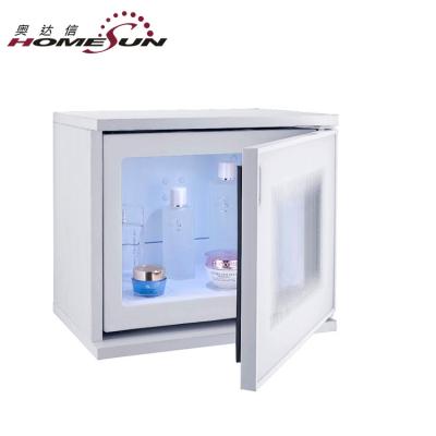 China THERMOELECTRIC Factory Custom 10L Semiconductor Cooling Cosmetic Mini Fridge Mini Fridge Refrigerator For Hotel for sale