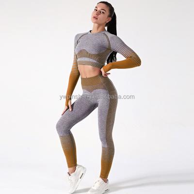 China Gym Breathable Wear Fitness Workout Biker Seamless 2020 Size High Shorts Women Soft Logo OEM Custom Sportswear for sale