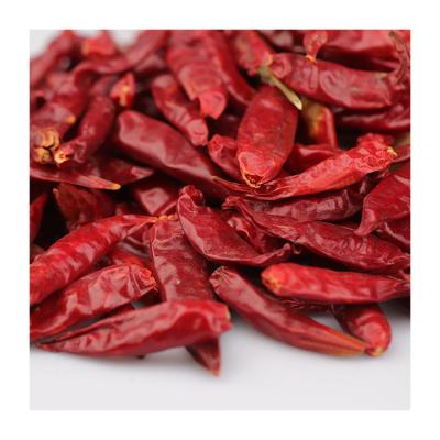 China Discount Price Single Spice Chili Pepper Plant Dried Chili Dry Red Pepper for sale