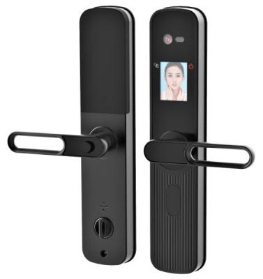 China Alu Alloy Face ID Recognition Password Smart Digital Smart Door Handle Lock for sale