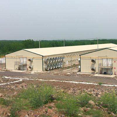 Chine Chambres à poulets préfabriquées Chambres à poulets en acier sur mesure Résistance aux intempéries à vendre