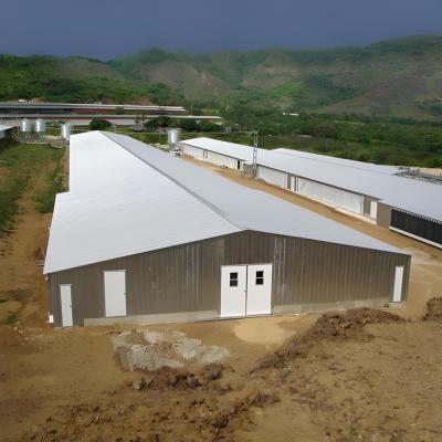 China Customização Estrutura de aço pré-fabricada Casa de aves para 10000 galinhas à venda