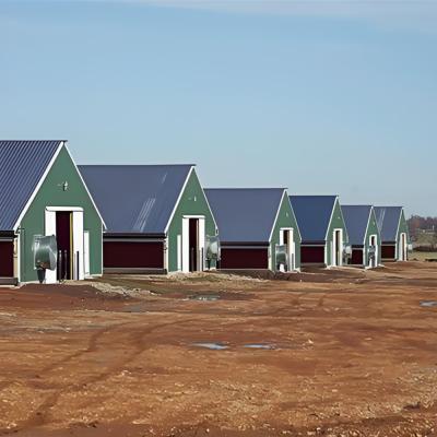 Chine Maison de volaille préfabriquée sur mesure avec revêtement de toit isolant en laine de verre en tôle d'acier à vendre