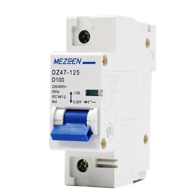 China 1 Pole Mini Circuit Breaker 1PC 100A 230V AC Overload Protection Copper Low Voltage Switch for sale