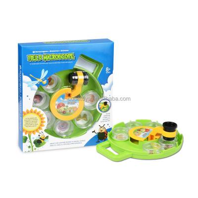 China Child Insect Magnifying Glass Toy Insect Observation Box Children Science Experiment Cb101613 Diy for sale