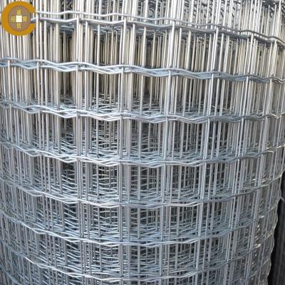 China 2x2 3/8 Inch Plastic Coated Welded Wire Mesh Fence Roll Erosion Resistant for sale