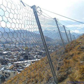 中国 Galvanized 4mm Wire 10*5m Round Mesh Rockfall Barrier Net 販売のため