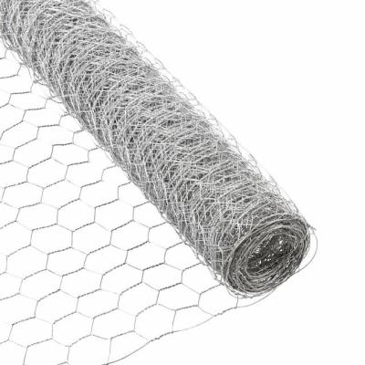 Cina Galvanized Hexagonal Chain Link Chicken Wire Industrial Grade for Cages in vendita