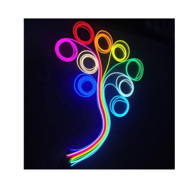 China Flexible Led Neon Christmas Tree Decoration 5M Strip Light 12V IP65 LED Strip Lights Waterproof Outdoor for sale