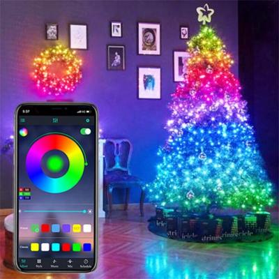 China Lawn Led Strip Lights Festival Decoration Led Light Strips Waterproof USB APP Control for sale