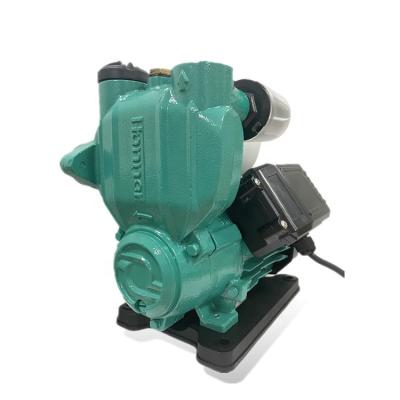 China Automatic Irrigation and Agriculture House Water Pump Pressure Garden Booster Automatic Water Pump for sale