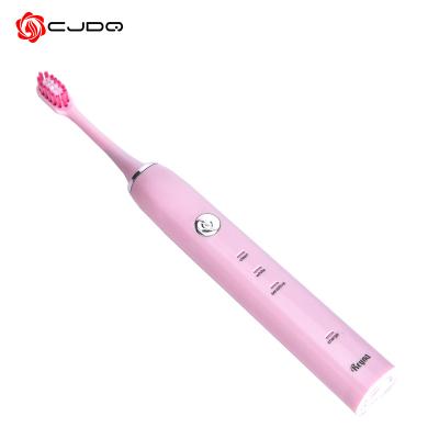 China High quality battery operated rechargeable sonic electric toothbrush with cheap price for sale