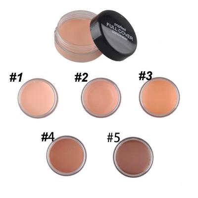 China Full Cover Face Moisturizer POPFEEL Shape Makeup Corrective Concealer Pencil Costom Use Natural Waterproof Cream for sale