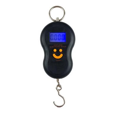 China Wighting Household Scales 50kg Luggage Scale With LCD Digital , Electronic LCD Display Travel Digital Scales for sale