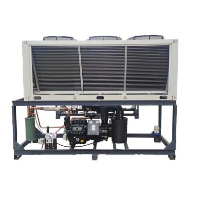 China Copeland Cold Room Medical Industrial Air Cooled Compressor Unit 3hp Compressor Refrigeration Piston Unit Condensing Refrigeration for sale