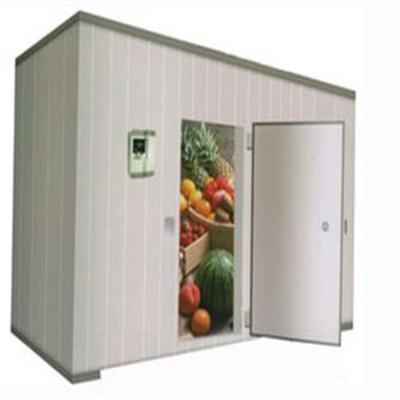 China Solar Power AC Solar DC Refrigerated Units Cold Storage Room Walk In Freezer Container Unit Condensing Cold Room Storage for sale