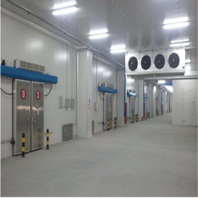 China Energy Saving Box Cold Room Container Cold Storage Room Air Blast Freezing Unit For Multiple Temperature Conditions for sale