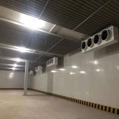 China High Quality Container Storage Room 50 Ton Air Cooled Cold Storage Room Blast Freezer Evaporative Cooler Equipment For Apples for sale