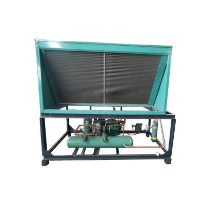 China Bitze ​​machinery repair shops fashion refrigeration unit compressor unit piston compressor v-type semi-hermetic air-cooled condensing for sale