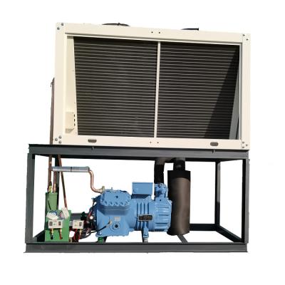 China Refrigeration Cold Storage Condens Unit Price Piston Refrigeration Compressor 15Hp Monoblock Air Cooled Semi Hermetic Condensing Unit for sale