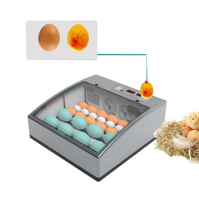 China Full Automatic Digital Egg Incubator Holding 16-36 Eggs CE Approved Chicken Egg Incubator For Sale for sale