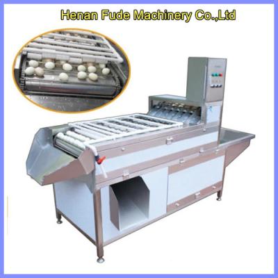 China hen egg shelling machine, chicken eggs shelling machine for sale