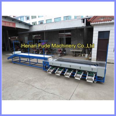 China dates sorting machine, date grading machine,dates sorter, date grader for sale