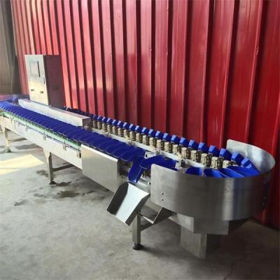 China apple grading machine, potato sorting machine, fruit weighing sorting machine for sale