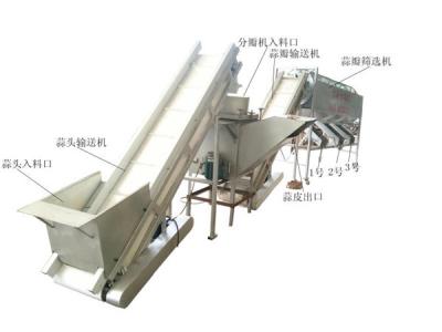 China Garlic cloves grading machine, garlic clove sorting machine, garlic seeds grader for sale