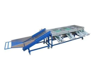 China garlic grading machine,garlic sorter,onion garding machine,onion sorter,garlic classfying machine for sale