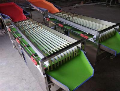 China small potato grading machine,cherry tomato sorting machine,cherry tomato cleaning and drying machine for sale