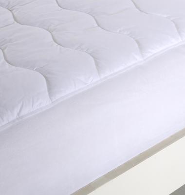 China 100% Waterproof Cotton Mattress Cover Bed Cover Bug Dust Mite Pad Topper Protector Bedspread Sheet for sale