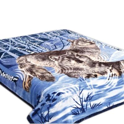 China HOT wholesale 2020 super soft Korean anti-pilling polyester raschel blanket 2PLY embossed cloudy 4.5KG mink blanket for sale