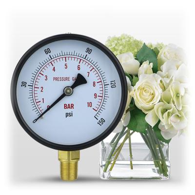 China 1/2''PT/NPT/G/M Threaded Precision Movement Y100 Water Pressure Gauge for Steam Trade for sale