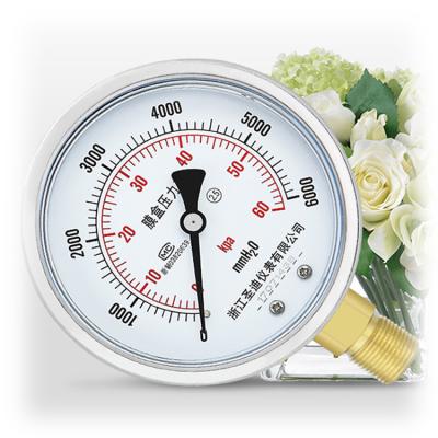 China OEM Low Pressure 2.5% Capsule Manometer Pressure Gauge for High Precision Measurement for sale