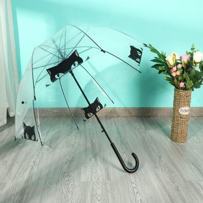 China Cat Pattern Adult Transparent POE Modern Umbrella for sale