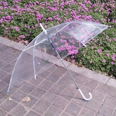 China 23 Inch Modern Transparent Clear Plastic White Handle Poe Material Automatic Open Straight Umbrella for sale