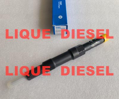 China DELPHI Fuel injector R00401Z R01001D EJDR00401Z EJDR01001D en venta