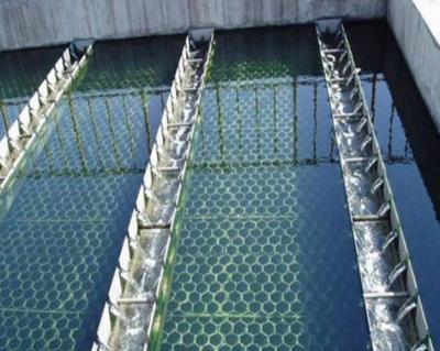 China Versatile Inclined Plates Clarifier For Wastewater Treatment à venda