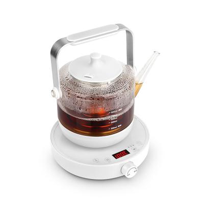 China 360 Degree Rotation Base 0.8 Liter 600w Borosilicate Glass Body Smart Electric White Bass Tea Kettle With Infuser for sale