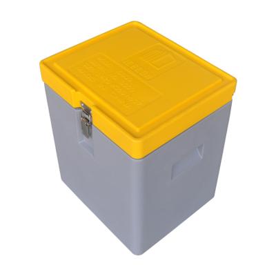 China Small Waterproof Dry Ice Container Dry Ice Box Price CO2 Dry Ice Box for sale