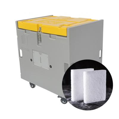 China Waterproof Factory Price With 1000kg Dry Ice Storage Box / Dry Ice Transport Container for sale