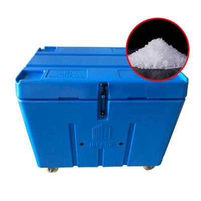 China Dry ice cooler dry ice storage box waterproof cryogenic storage transport box for export container for sale